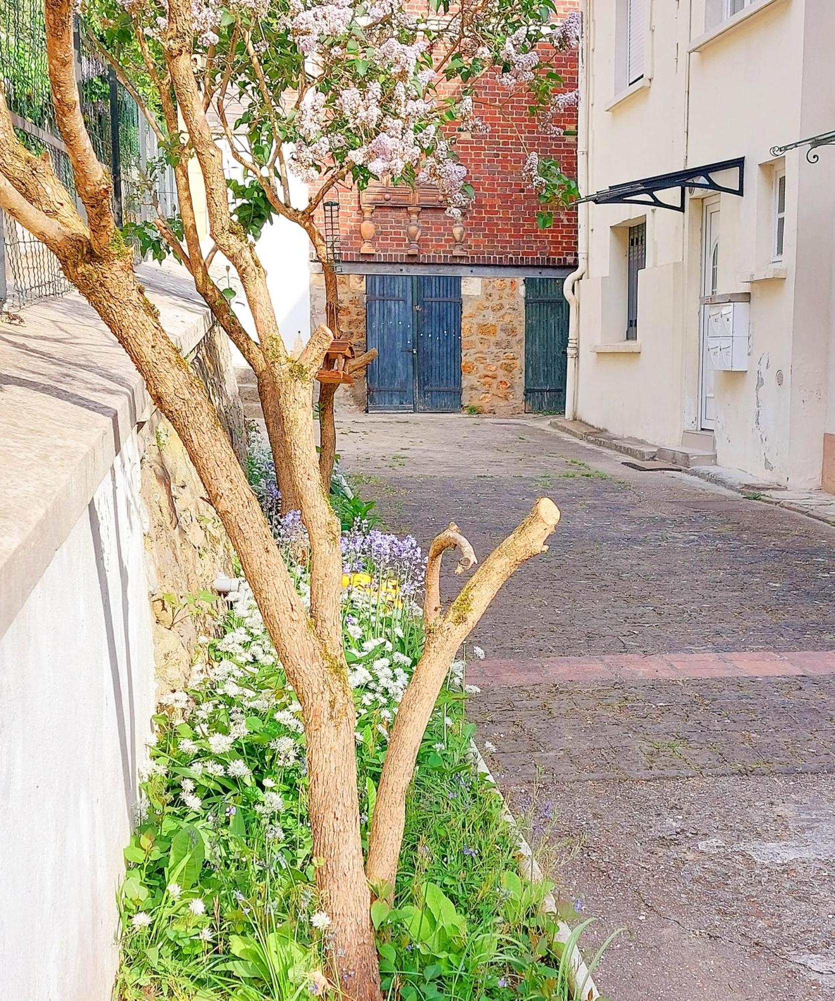 Villa Reiala シャビル エクステリア 写真